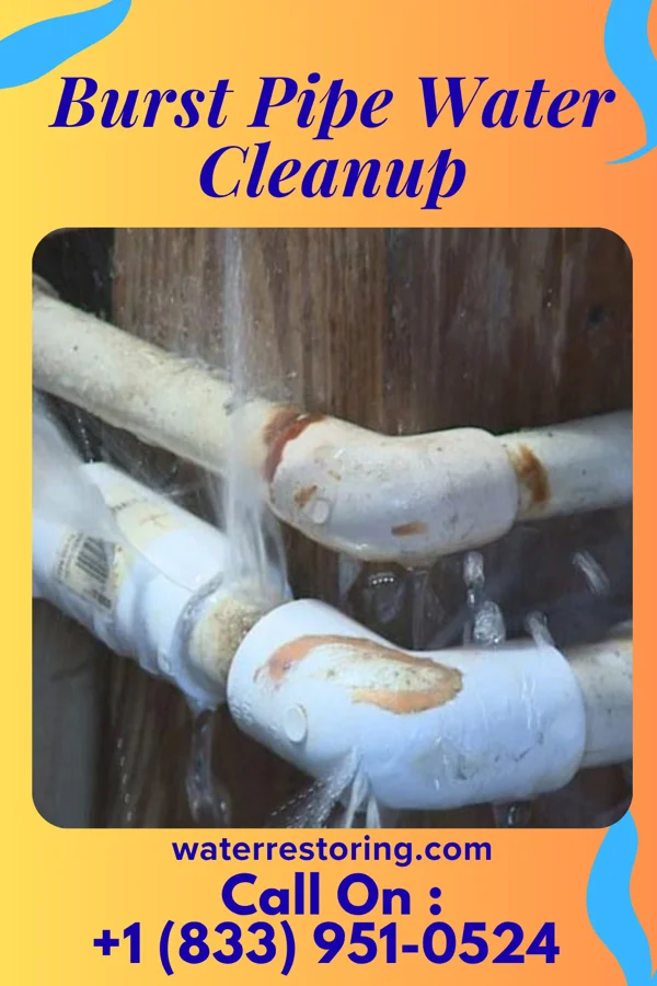 Burst Pipe Water Cleanup in Tharptown, PA