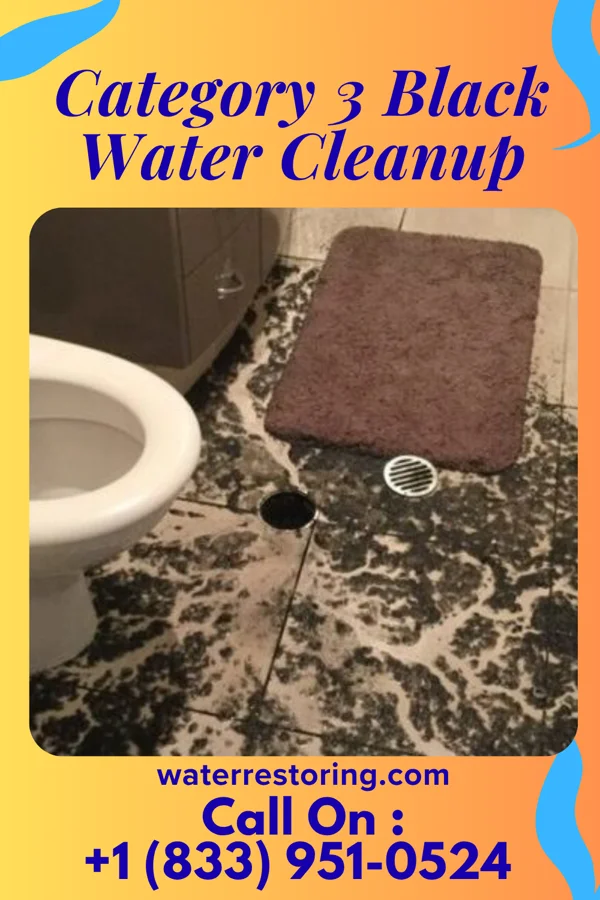 Category 3 Black Water Cleanup in Tharptown, PA
