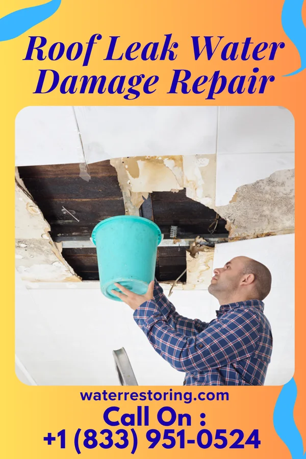 Roof Leak Water Damage Repair in Tharptown, PA