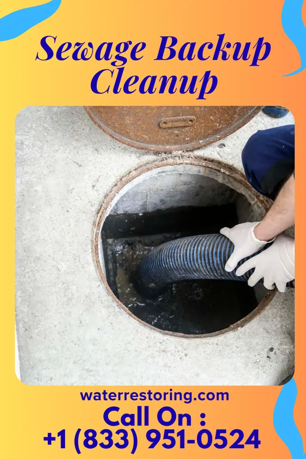 Sewage Backup Cleanup in Tharptown, PA