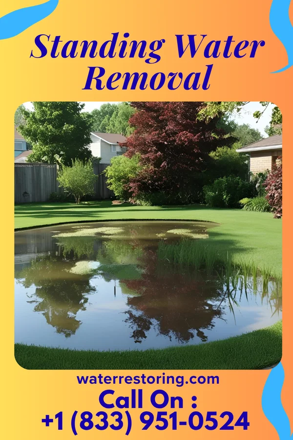 Standing Water Removal in Tharptown, PA